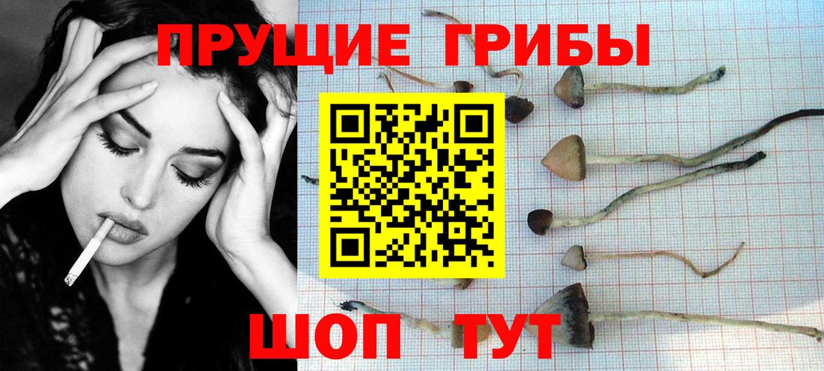 Галлюциногенные грибы прущие грибы Гудермес